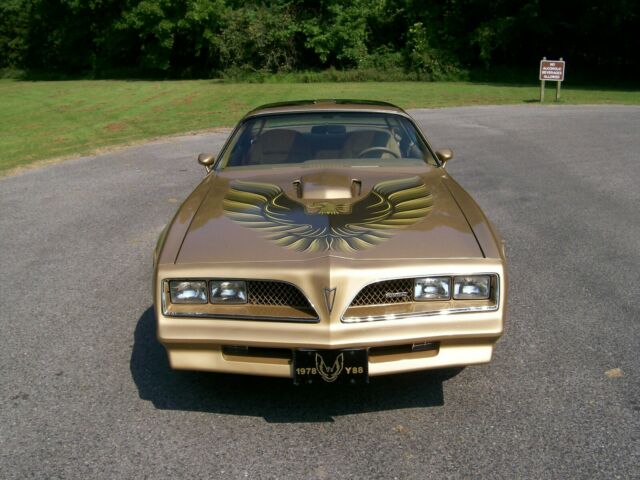 Pontiac Trans Am 1978 image number 28