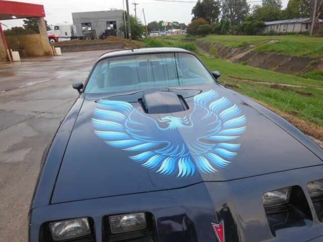 Pontiac Trans Am 1979 image number 33