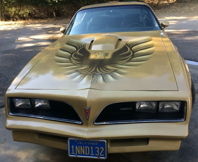 Pontiac Trans Am 1978 image number 10