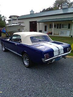 Ford Mustang 1965 image number 15