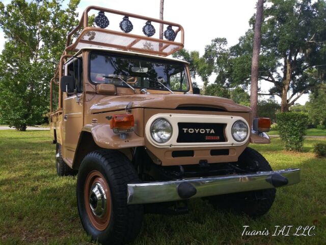 Toyota Land Cruiser 1979 image number 24