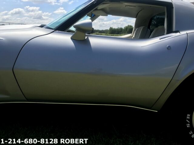 Chevrolet Corvette 1979 image number 14