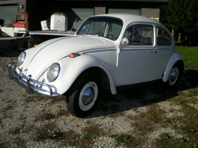 Volkswagen Beetle - Classic 1965 image number 0