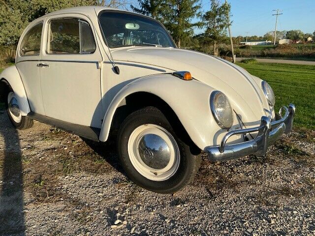 Volkswagen Beetle - Classic 1965 image number 36