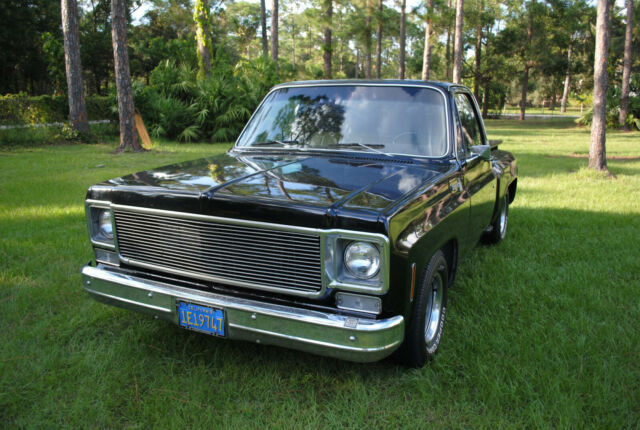 Chevrolet C-10 1977 image number 28