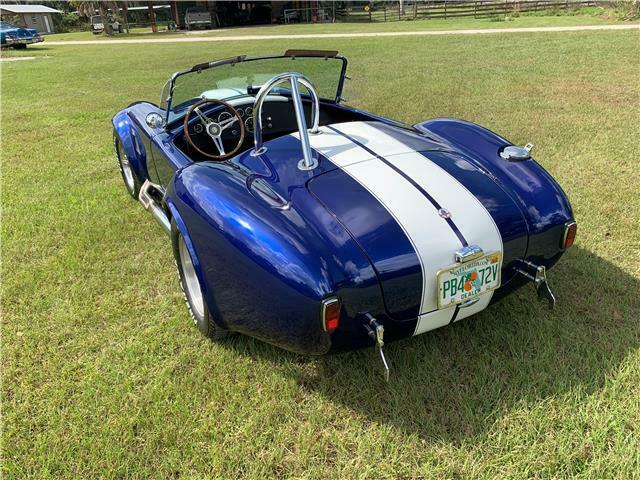 Hurricane Shelby Cobra 1965 image number 14