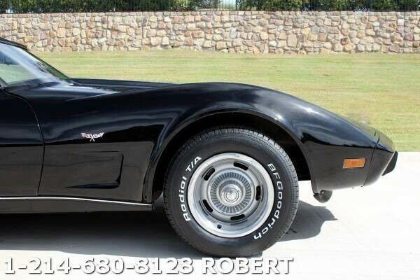 Chevrolet Corvette 1979 image number 13