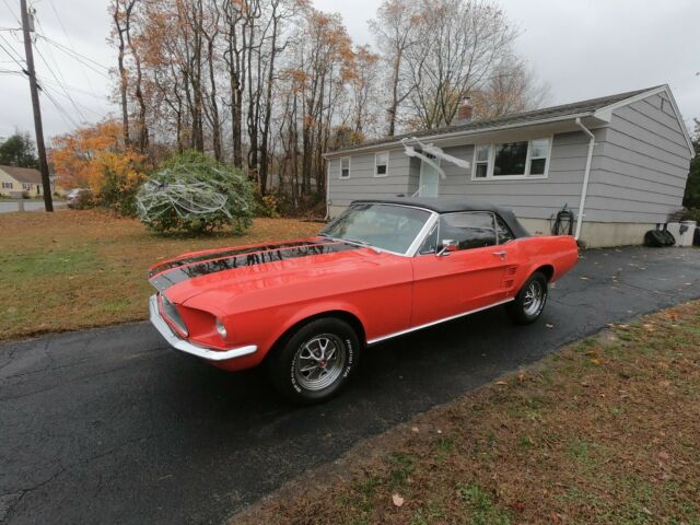 Ford Mustang 1967 image number 2