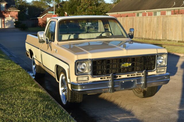 Chevrolet C-10 1978 image number 10