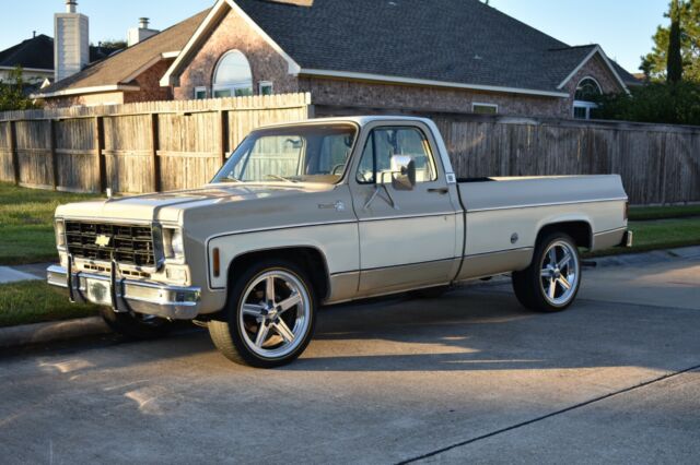 Chevrolet C-10 1978 image number 17