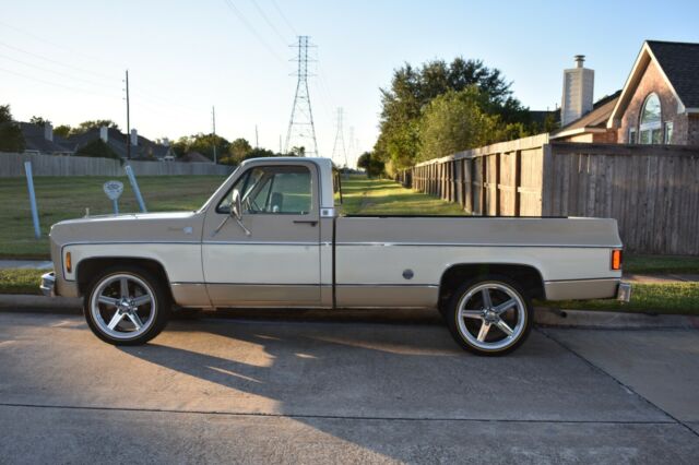 Chevrolet C-10 1978 image number 19