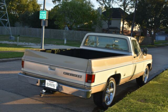 Chevrolet C-10 1978 image number 21