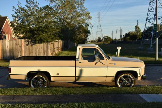 Chevrolet C-10 1978 image number 22