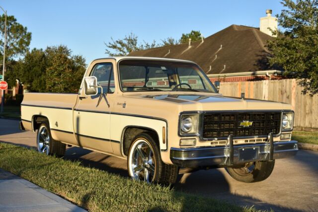 Chevrolet C-10 1978 image number 23