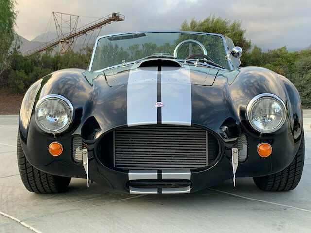 Shelby Cobra 1965 image number 14