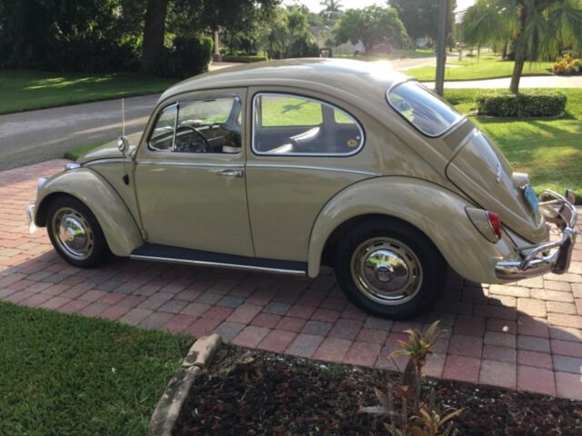 Volkswagen Beetle - Classic 1966 image number 30