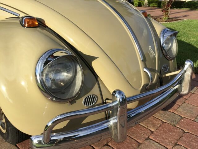 Volkswagen Beetle - Classic 1966 image number 33