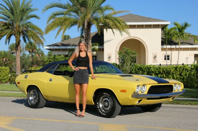 Dodge Challenger 1973 image number 1