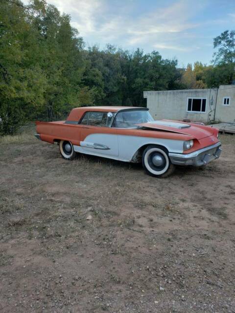 Ford Thunderbird 1959 image number 0