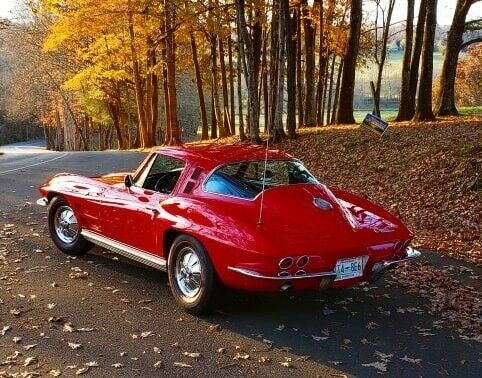 Chevrolet Corvette 1964 image number 19