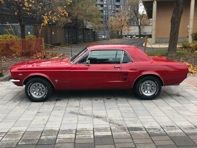 Ford Mustang 1967 image number 18