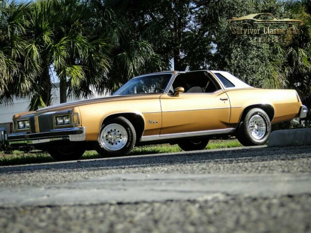 Pontiac Grand Prix 1976 image number 0