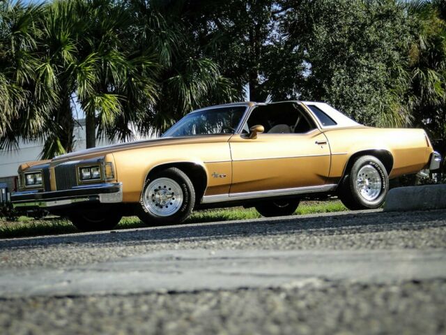 Pontiac Grand Prix 1976 image number 12