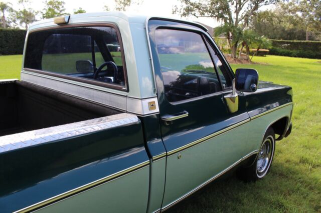 Chevrolet C-10 1979 image number 31