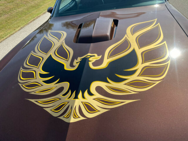 Pontiac Trans Am 1977 image number 1