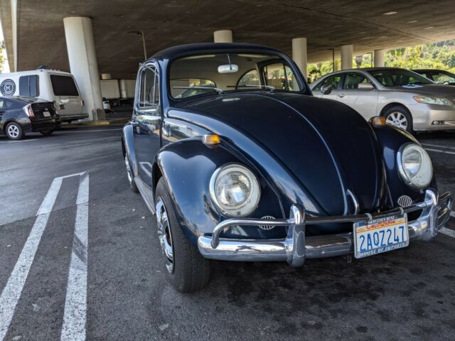 Volkswagen Beetle - Classic 1964 image number 11