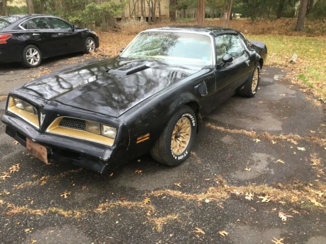 Pontiac Trans Am 1977 image number 1