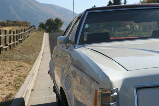 Ford Thunderbird 1978 image number 28