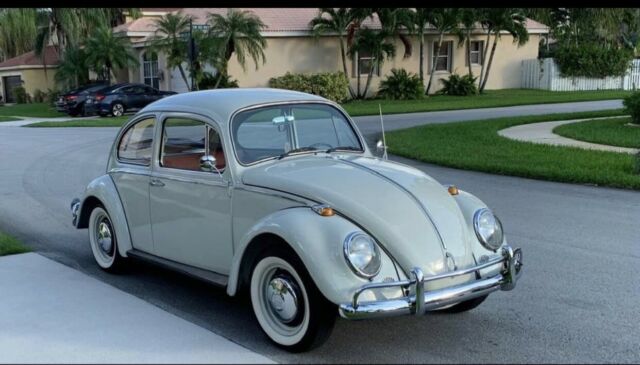 Volkswagen Beetle - Classic 1966 image number 11