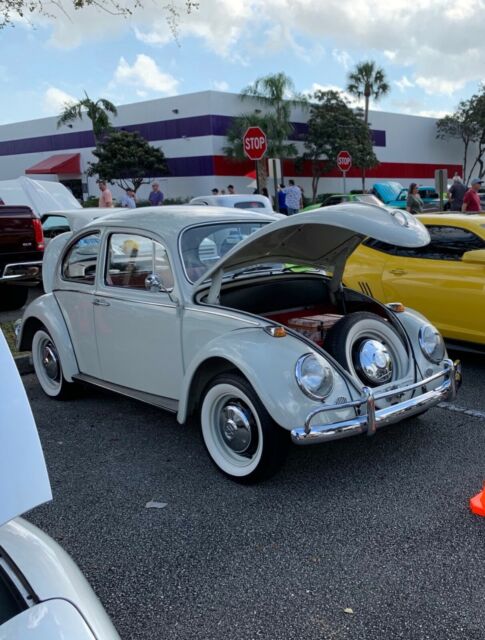 Volkswagen Beetle - Classic 1966 image number 42