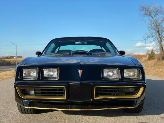 Pontiac Trans Am 1979 image number 13