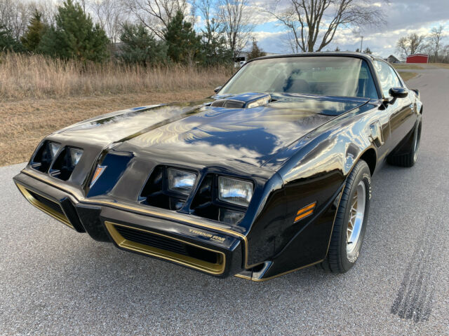 Pontiac Trans Am 1979 image number 28