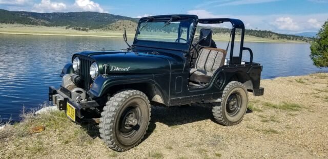 Jeep CJ 1964 image number 20