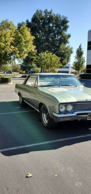 Buick Skylark 1965 image number 19