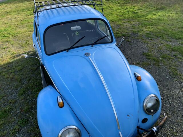 Volkswagen Beetle - Classic 1966 image number 28