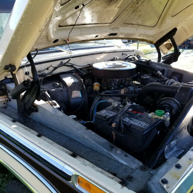 Ford F-150 1978 image number 32