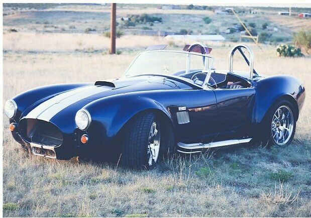 Shelby Cobra 1965 image number 10