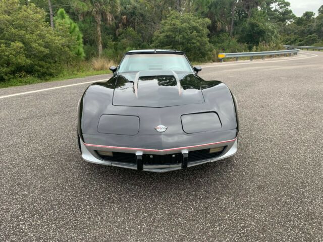 Chevrolet Corvette 1978 image number 10