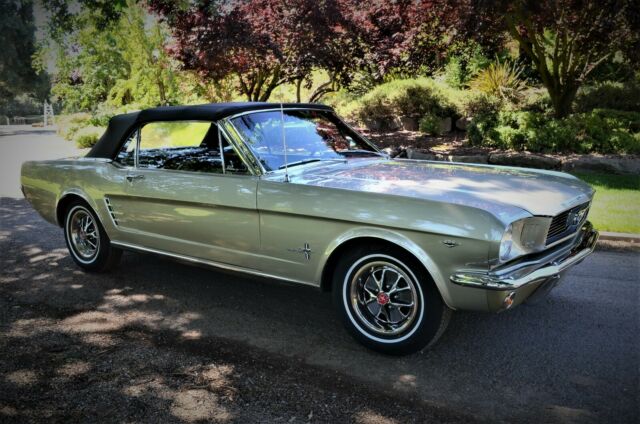 Ford Mustang 1966 image number 1