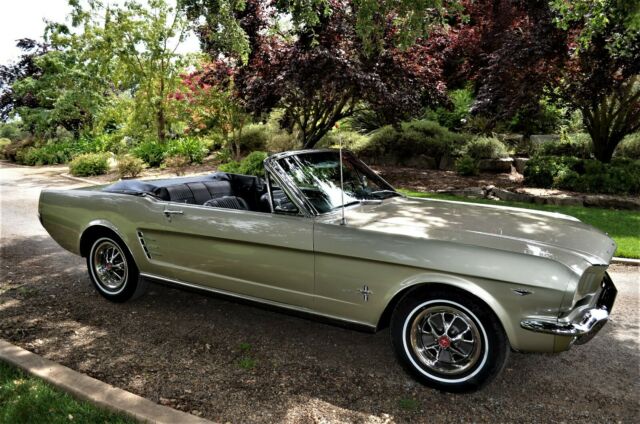 Ford Mustang 1966 image number 2