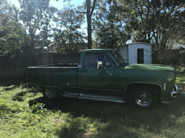 Chevrolet C20 Pickup 1974 image number 0