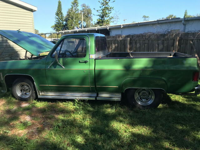 Chevrolet C20 Pickup 1974 image number 1