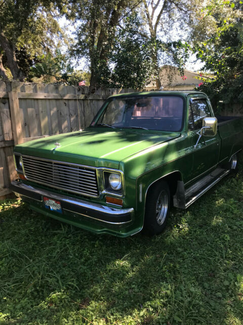 Chevrolet C20 Pickup 1974 image number 4