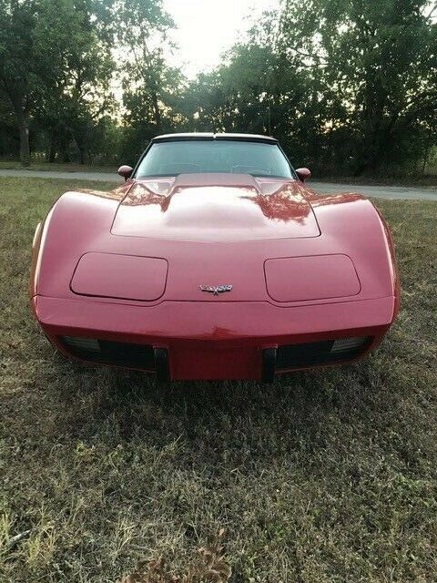 Chevrolet Corvette 1979 image number 27