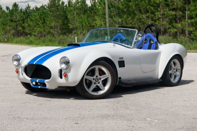 Shelby Cobra 1965 image number 2