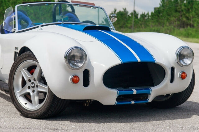 Shelby Cobra 1965 image number 23